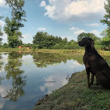 L'etang De Piou