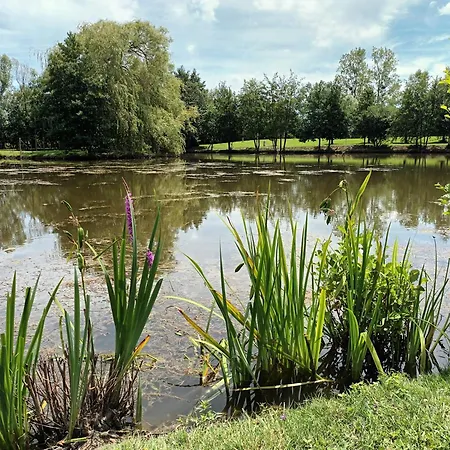 L'etang De Piou * Saint-Sulpice (Ain)