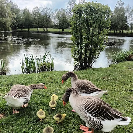 L'etang De Piou * Saint-Sulpice (Ain)